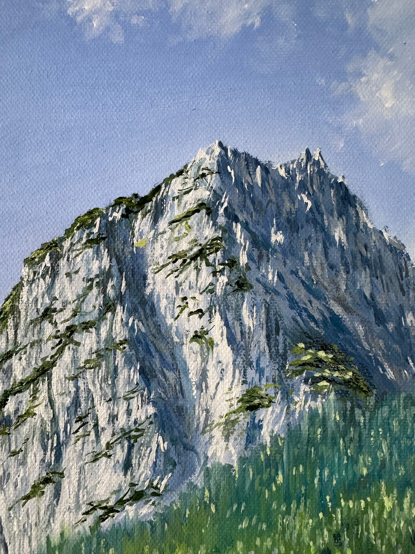 “German Alps”