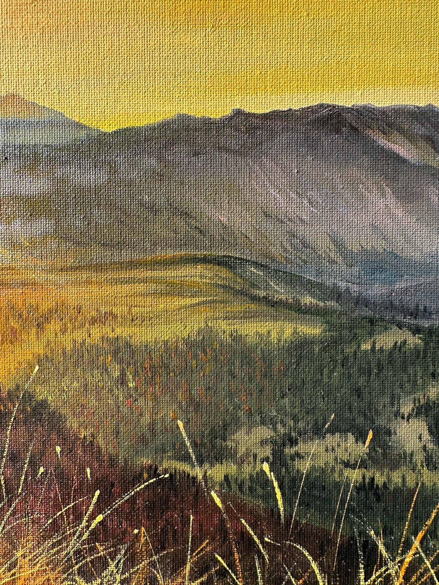 "Swiss Alps at sunset"