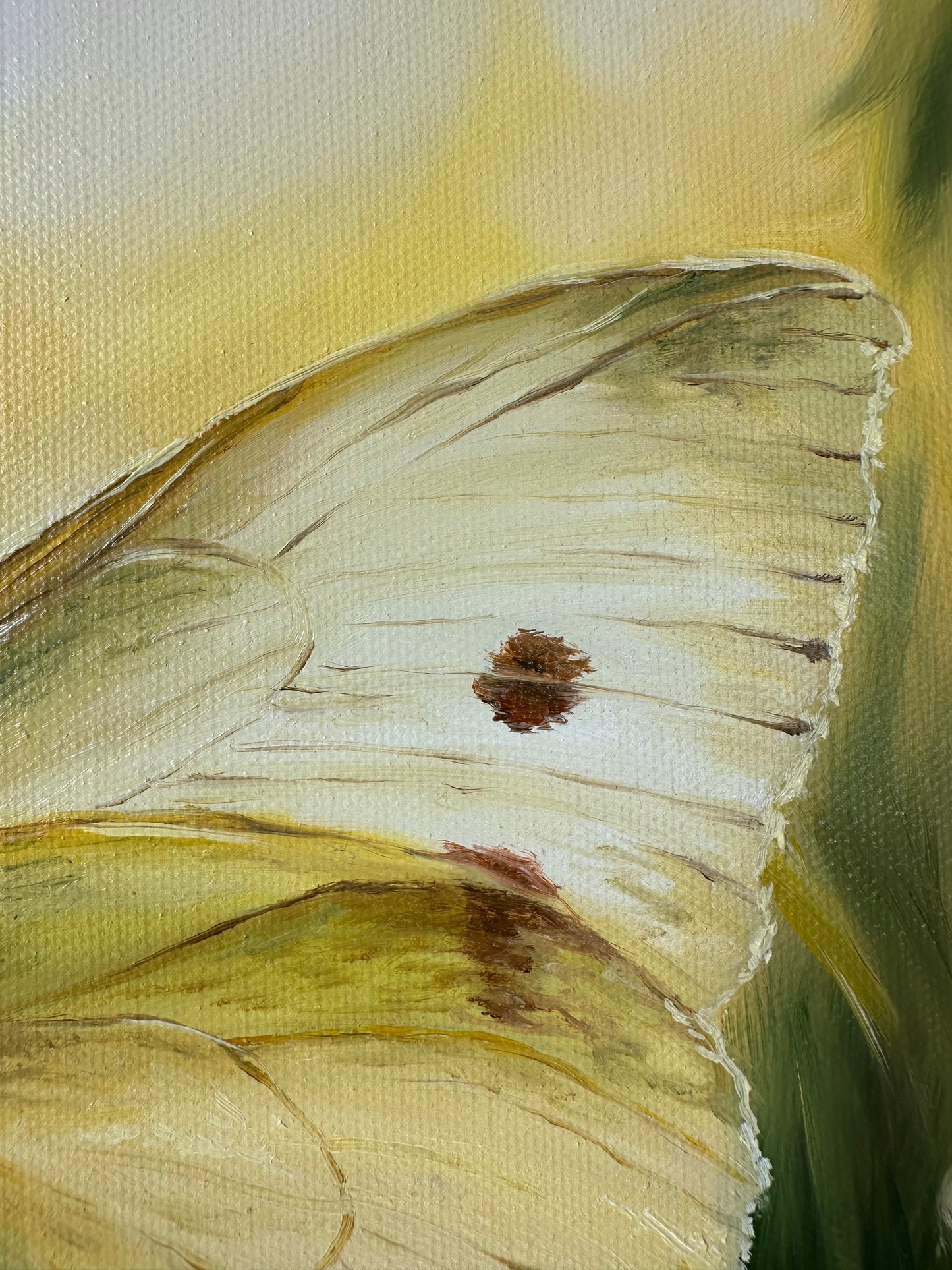 „Sunrise in Bloom“