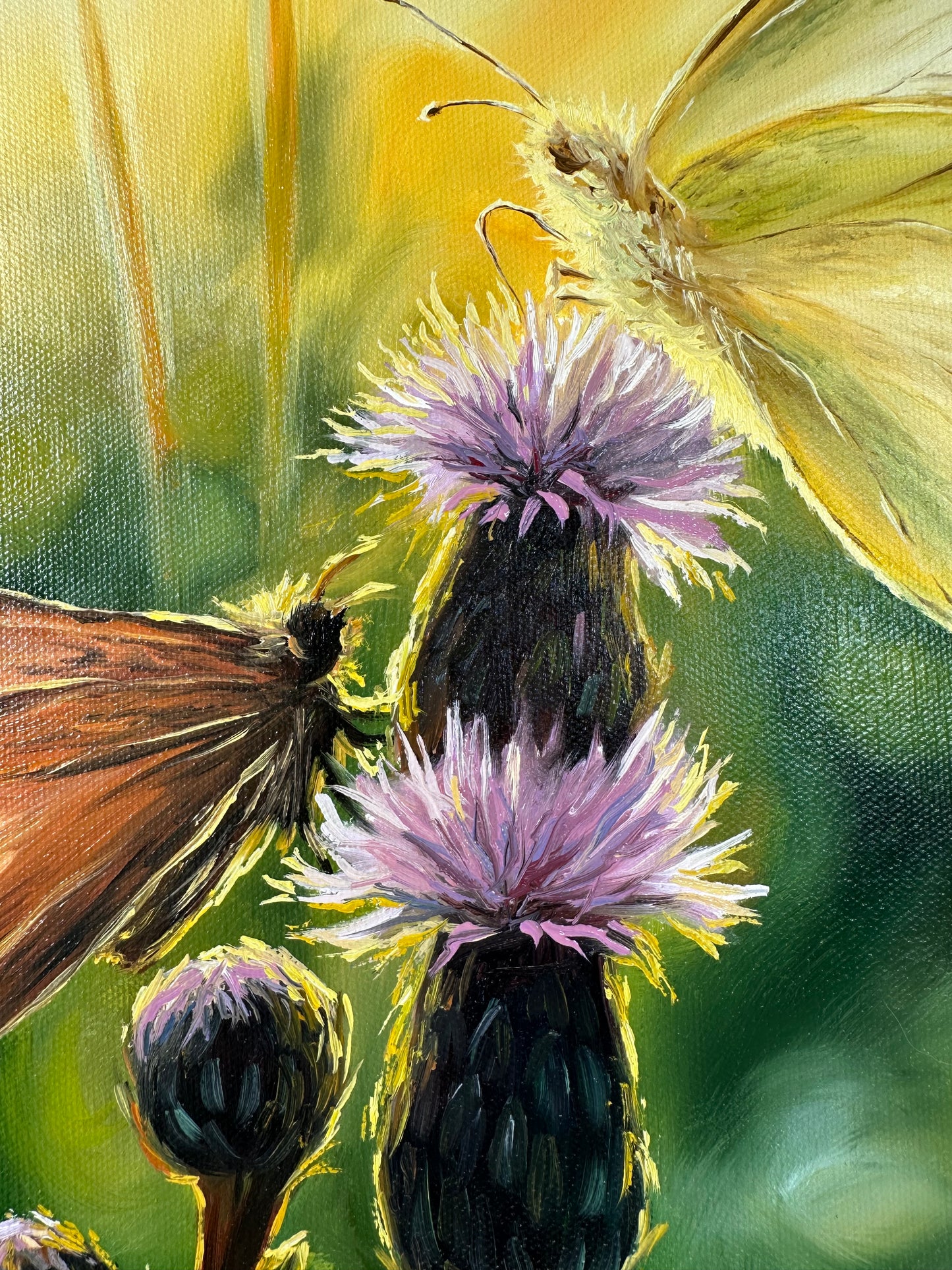 „Sunrise in Bloom“