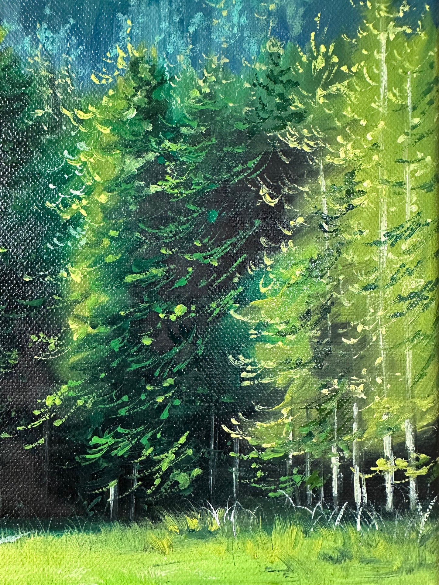 “German Alps”