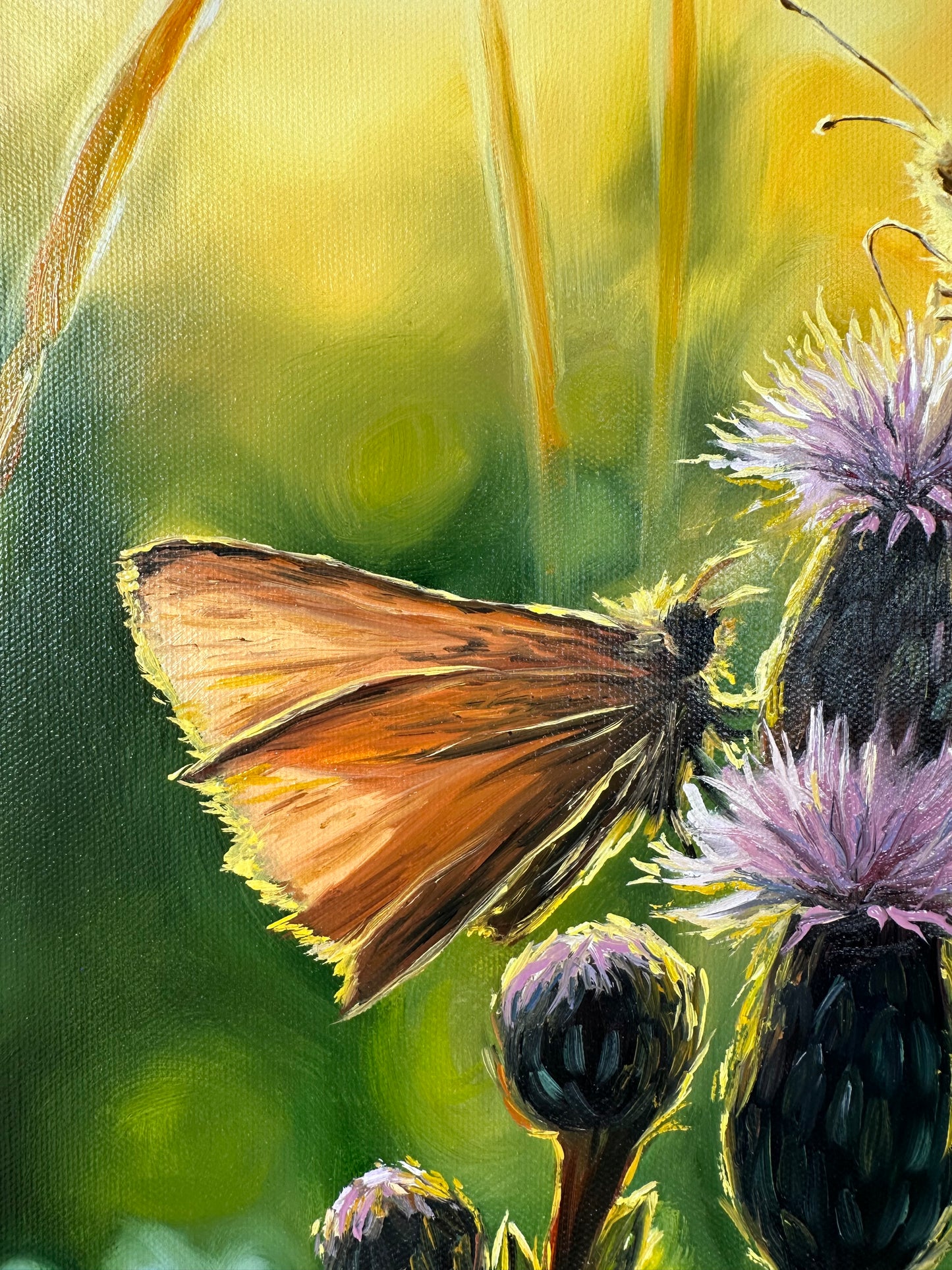 „Sunrise in Bloom“