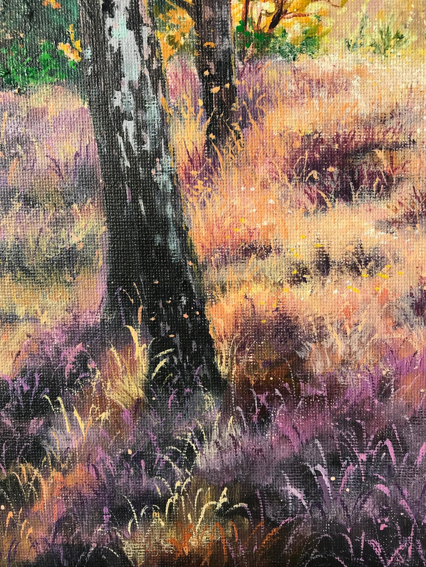 "Lüneburger Heide forrest"