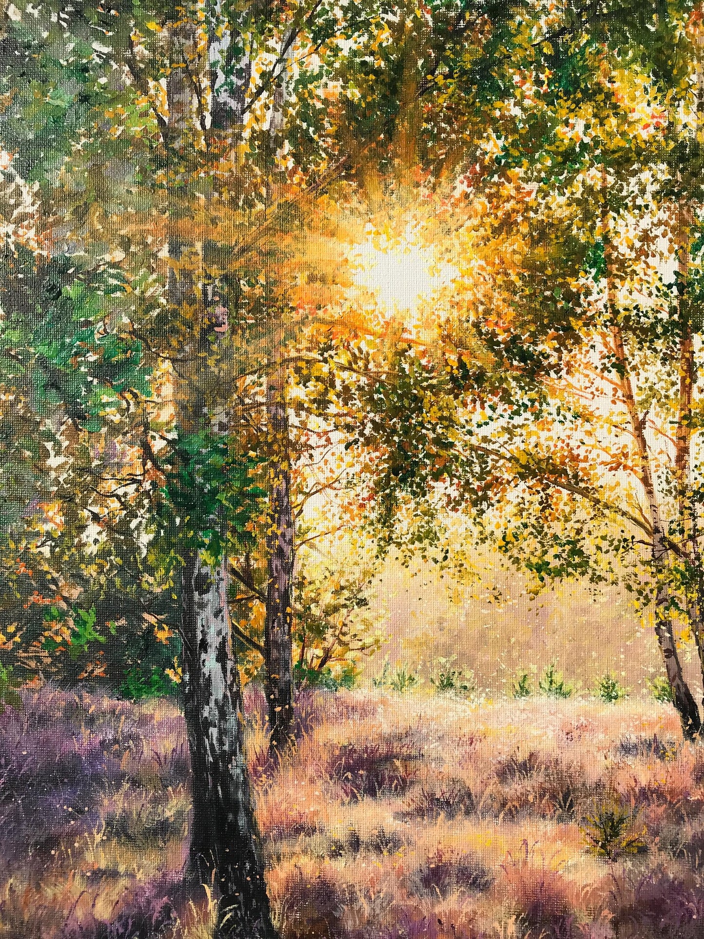 "Lüneburger Heide forrest"