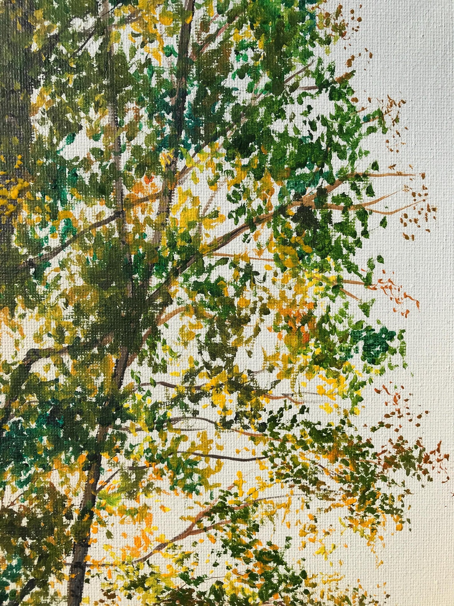 "Lüneburger Heide forrest"