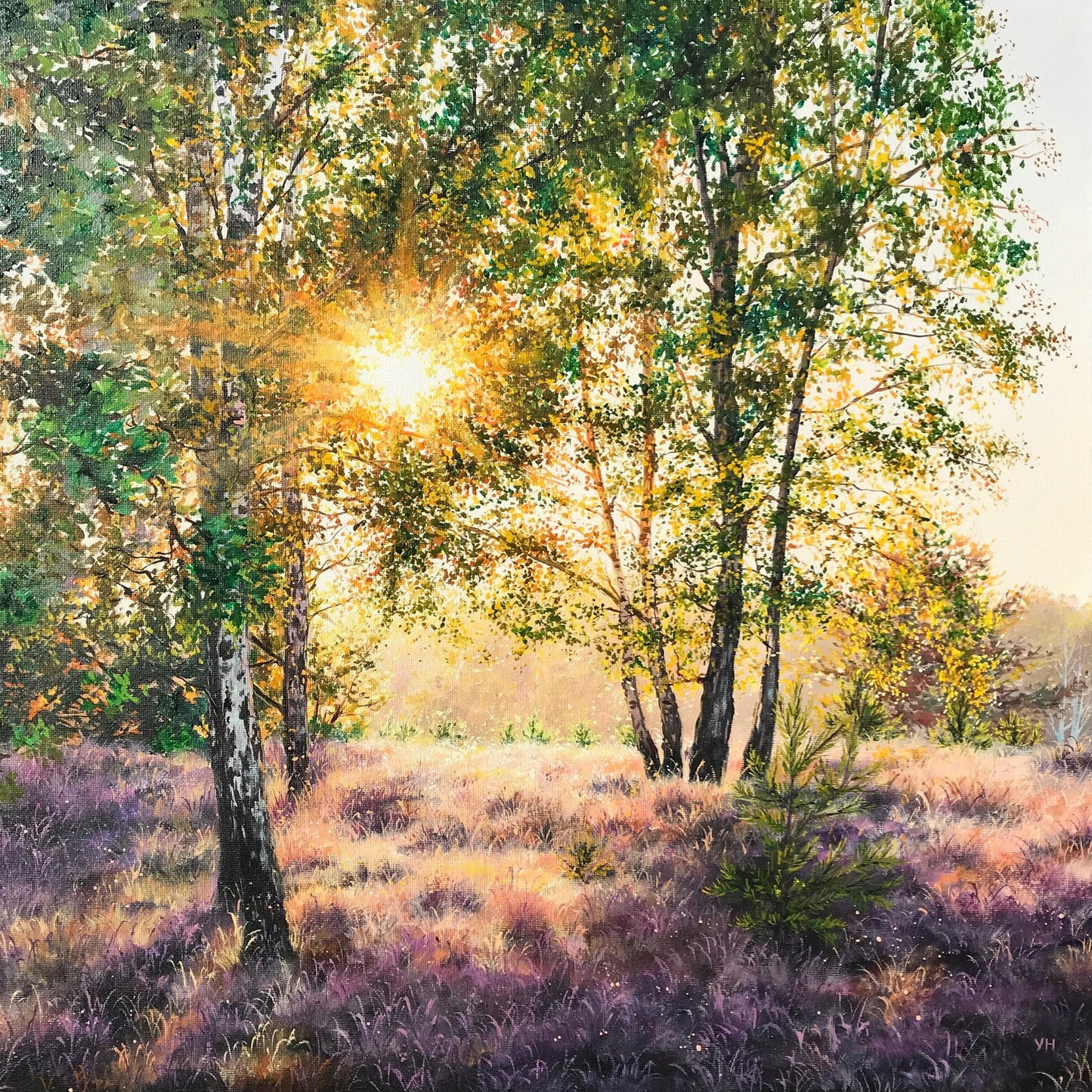 "Lüneburger Heide forrest"