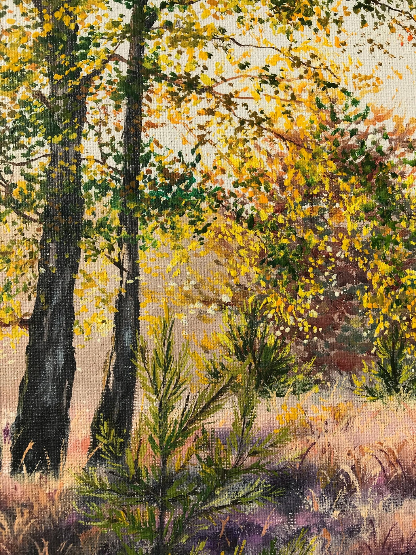 "Lüneburger Heide forrest"