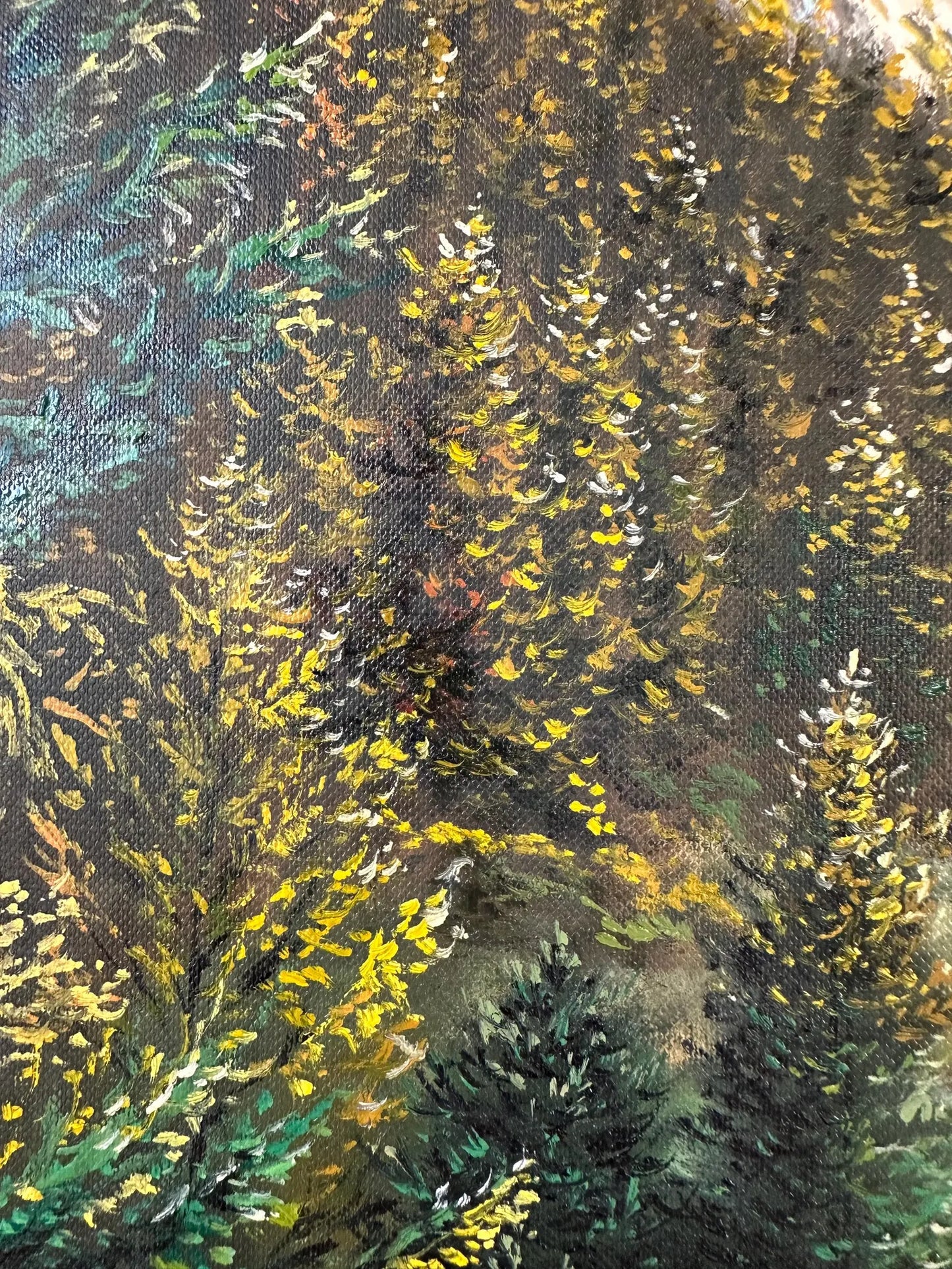 "Lac Fourchu in France"