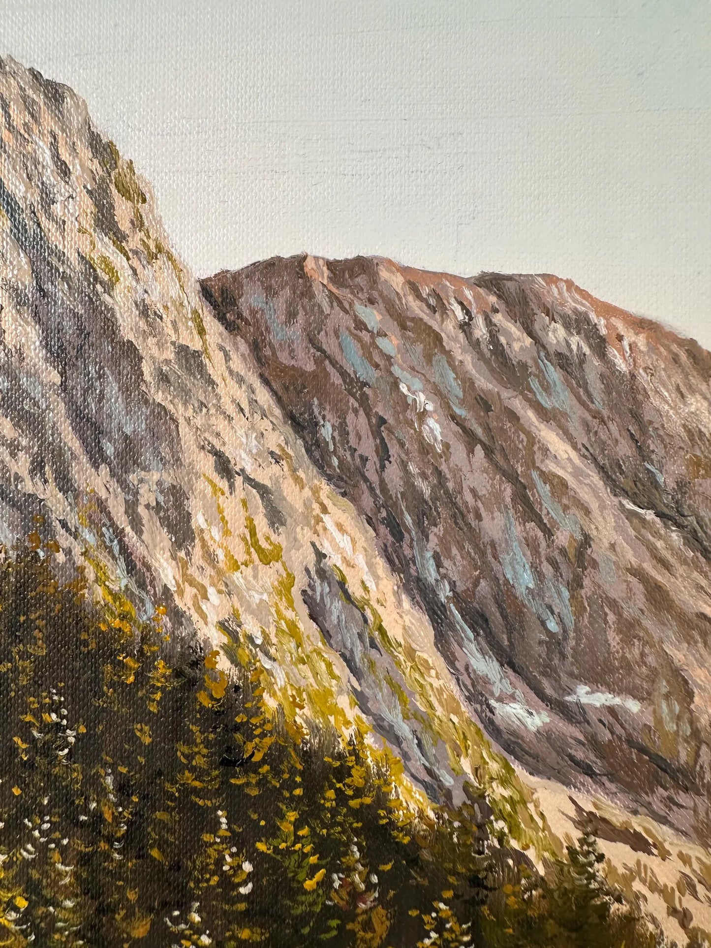 "Lac Fourchu in France"