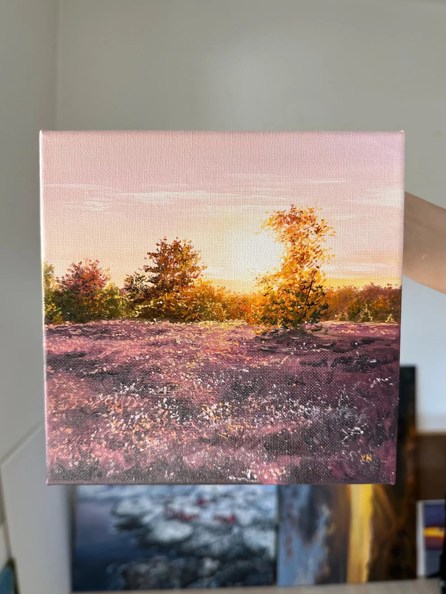 "Lüneburger Heide field"