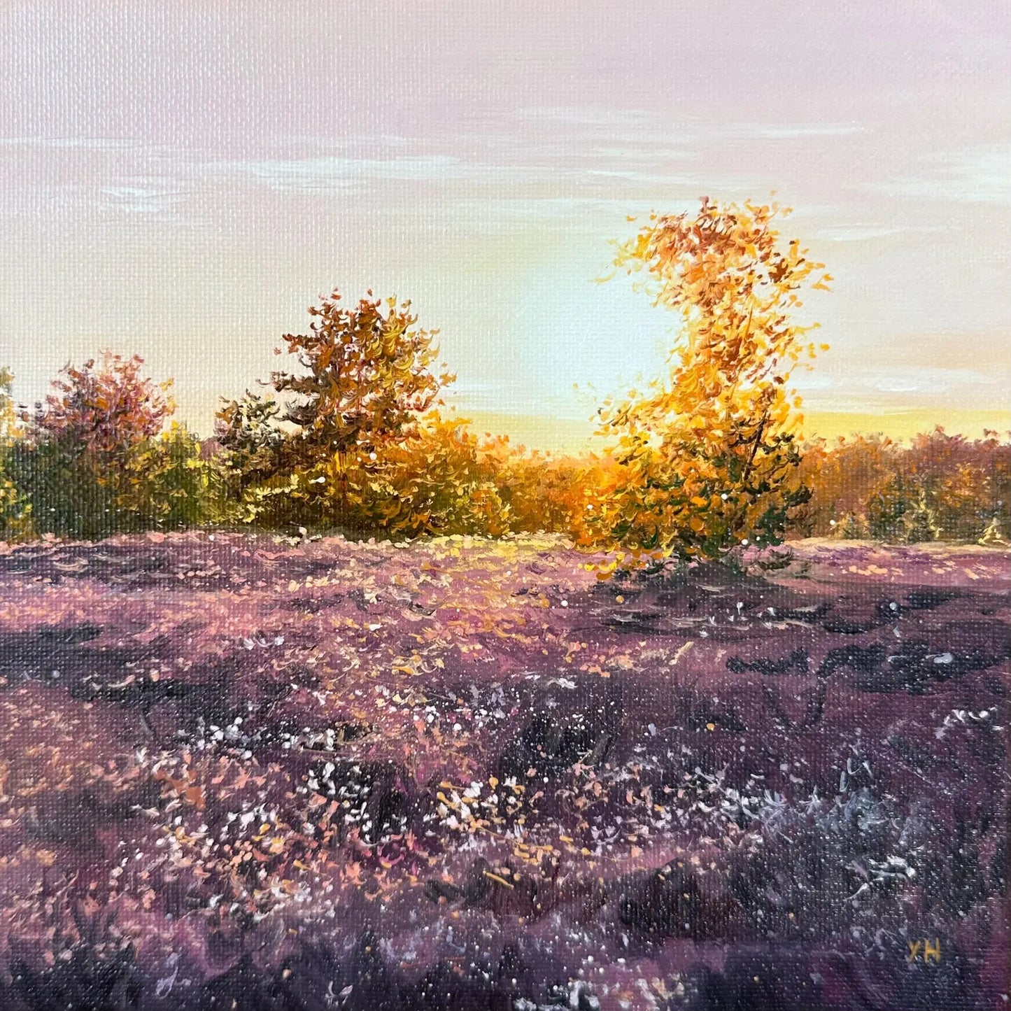 "Lüneburger Heide field"
