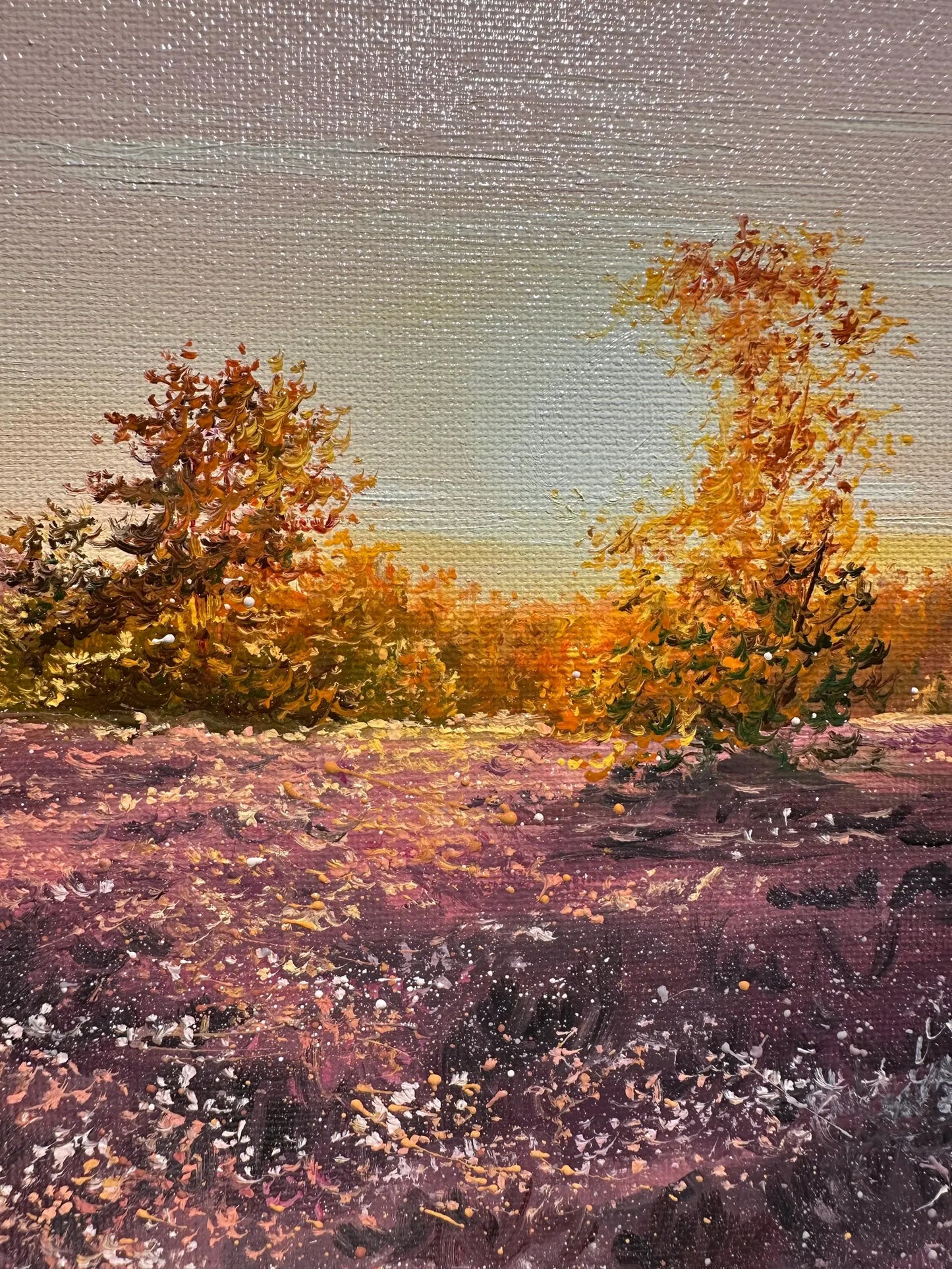 "Lüneburger Heide field"
