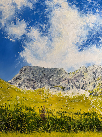 “Malga Montasio, Italy”