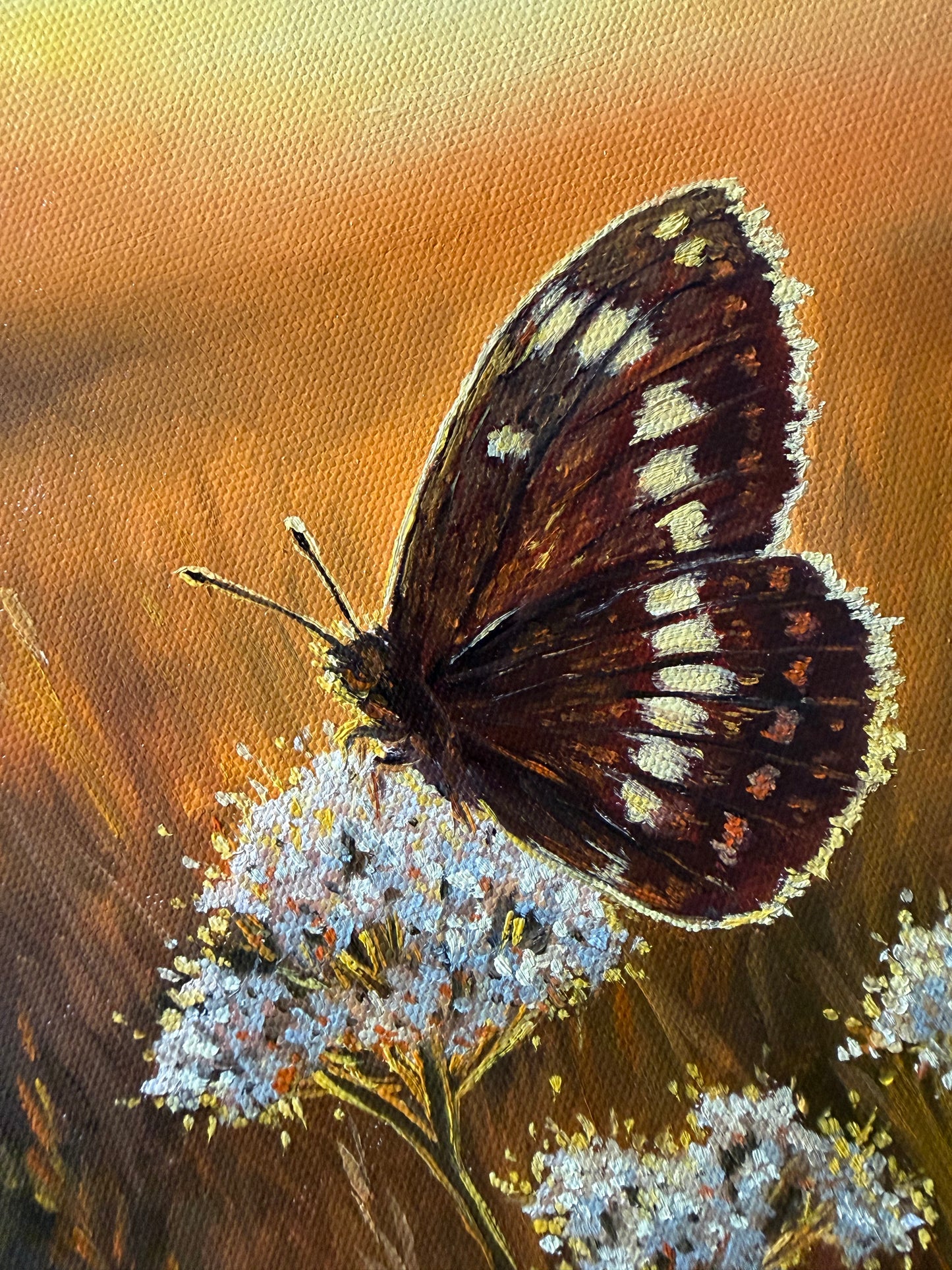 “Sunlit Bloom and Butterfly”
