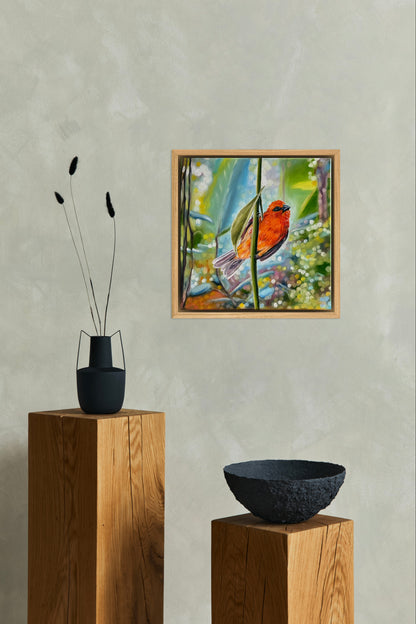 “Red Fody” oil painting