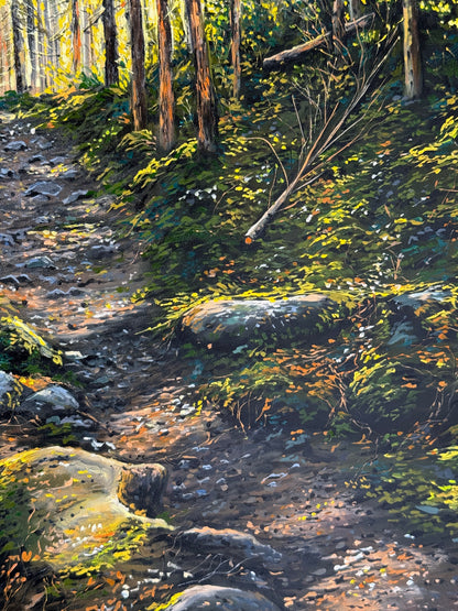 “Sunlit Forest” oil painting