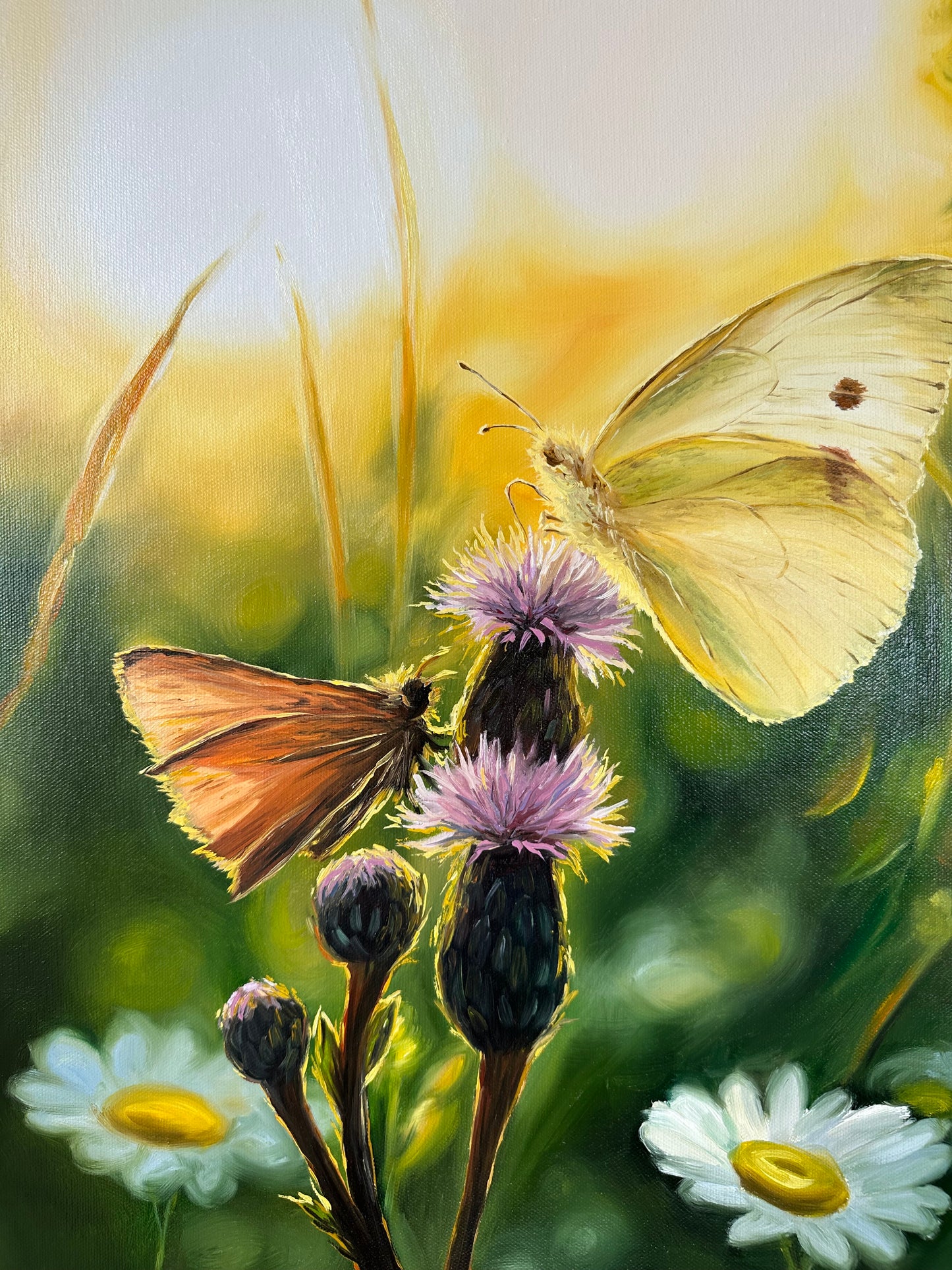 „Sunrise in Bloom“