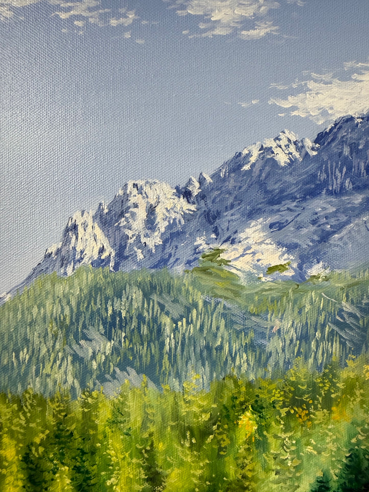 “Eibsee with Alps”