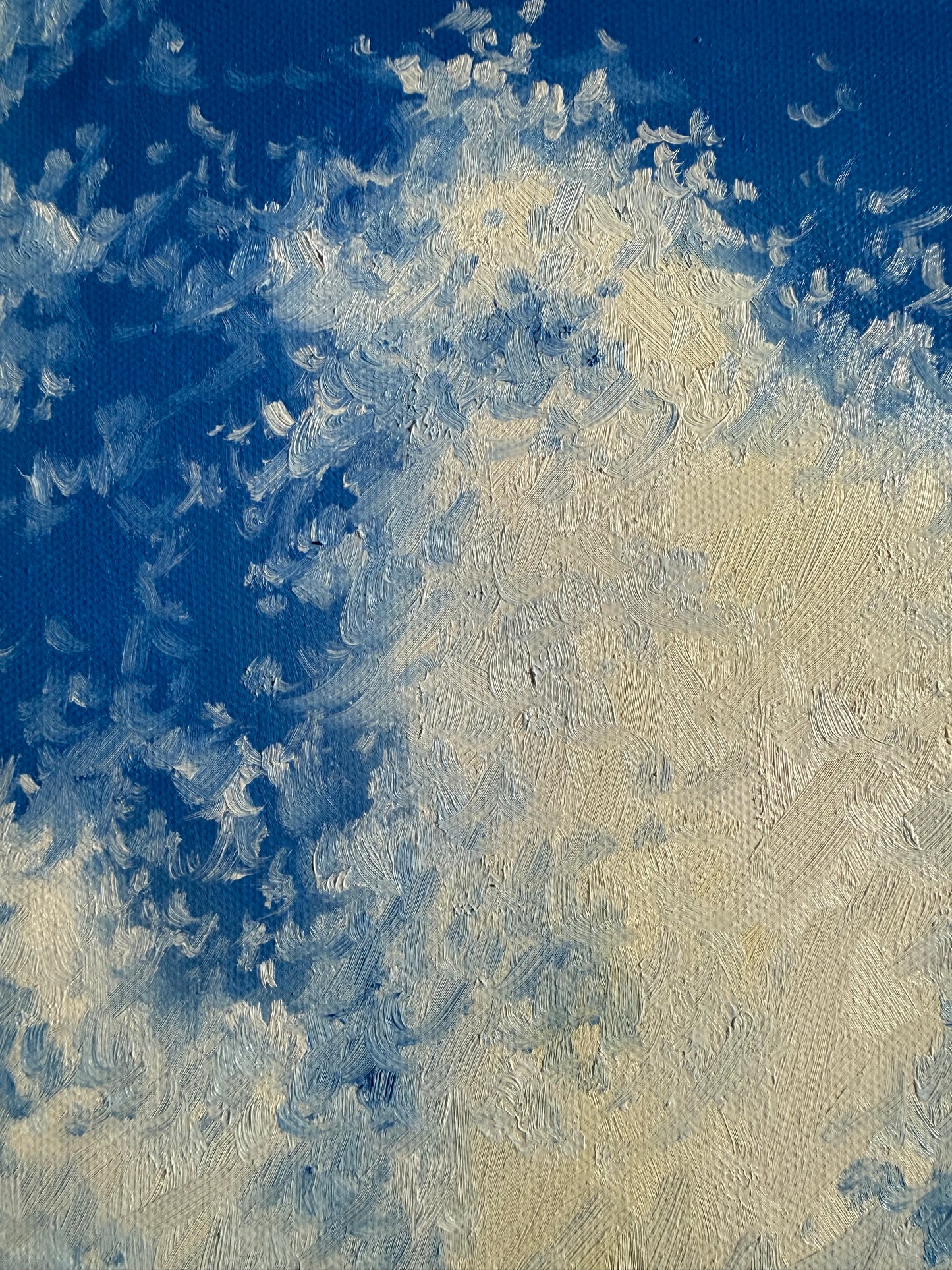 “Malga Montasio, Italy”