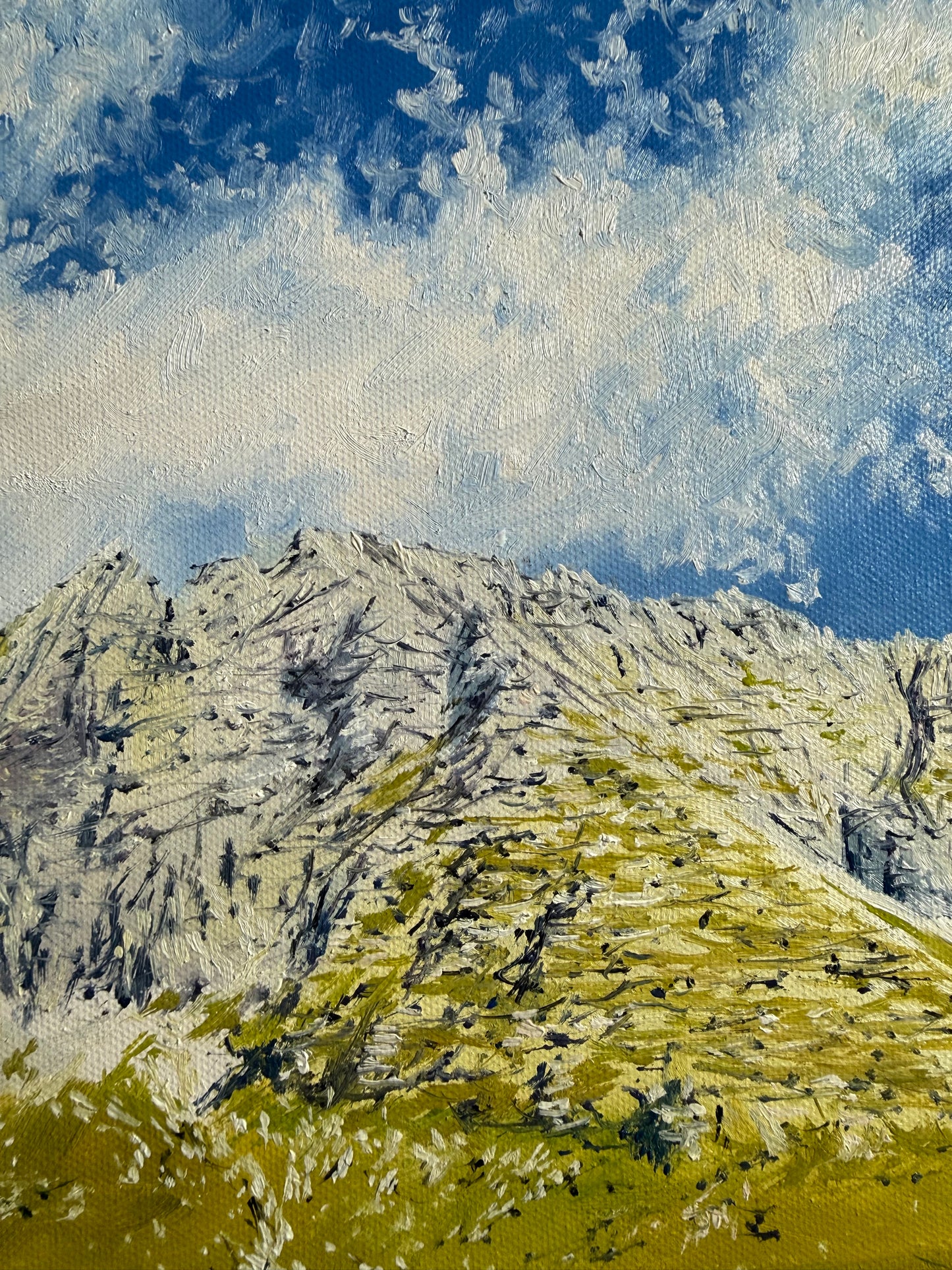 “Malga Montasio, Italy”