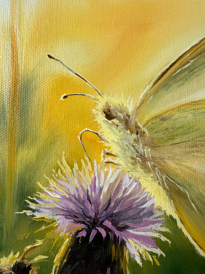 „Sunrise in Bloom“