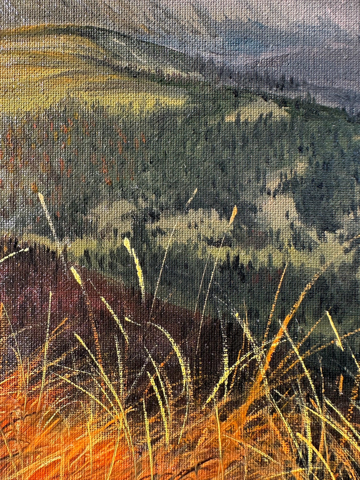 "Swiss Alps at sunset"