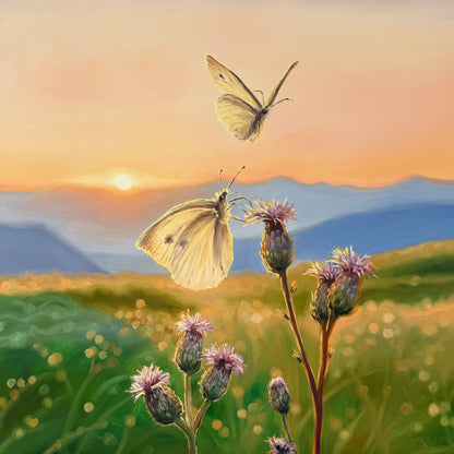„Butterflies at Down“