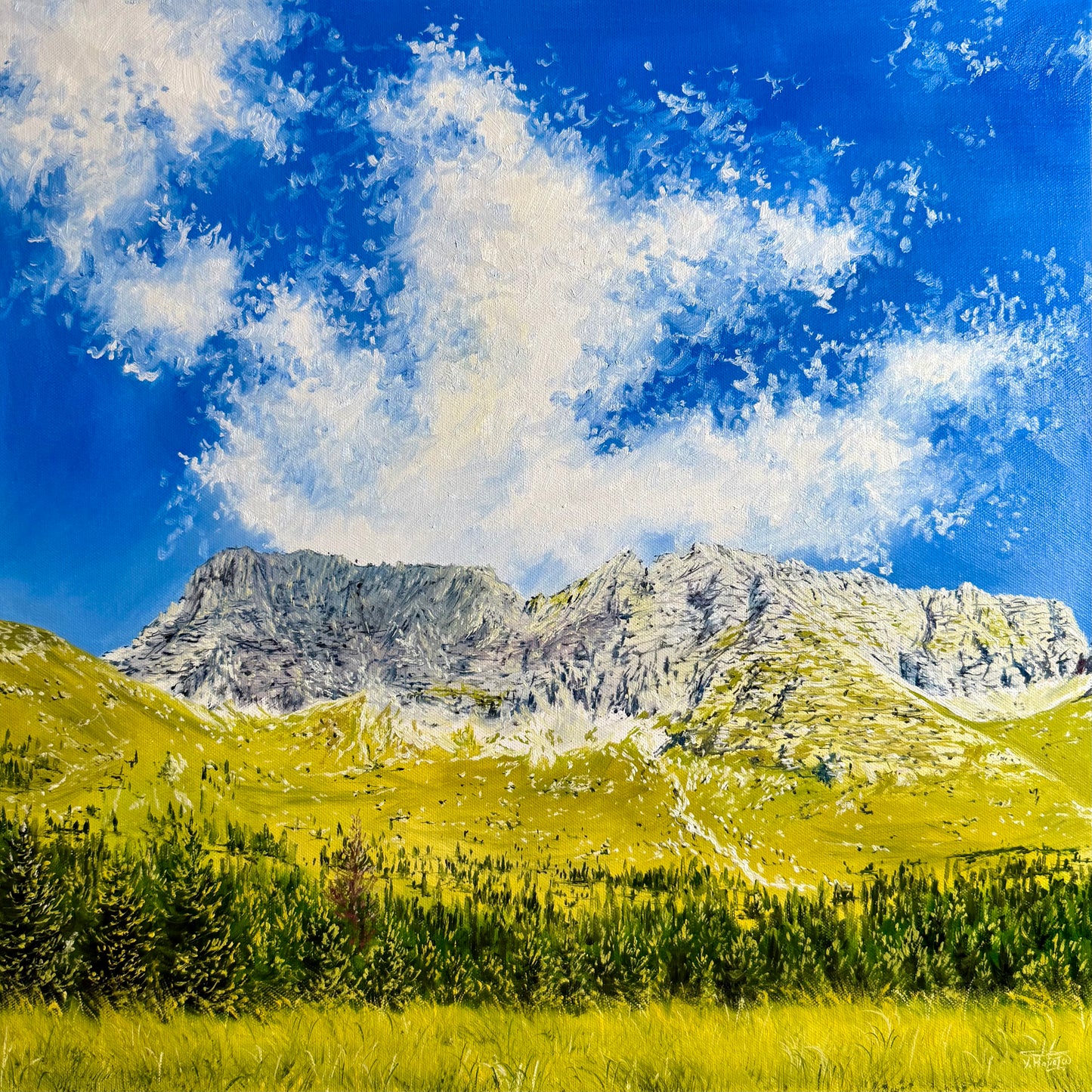 “Malga Montasio, Italy”