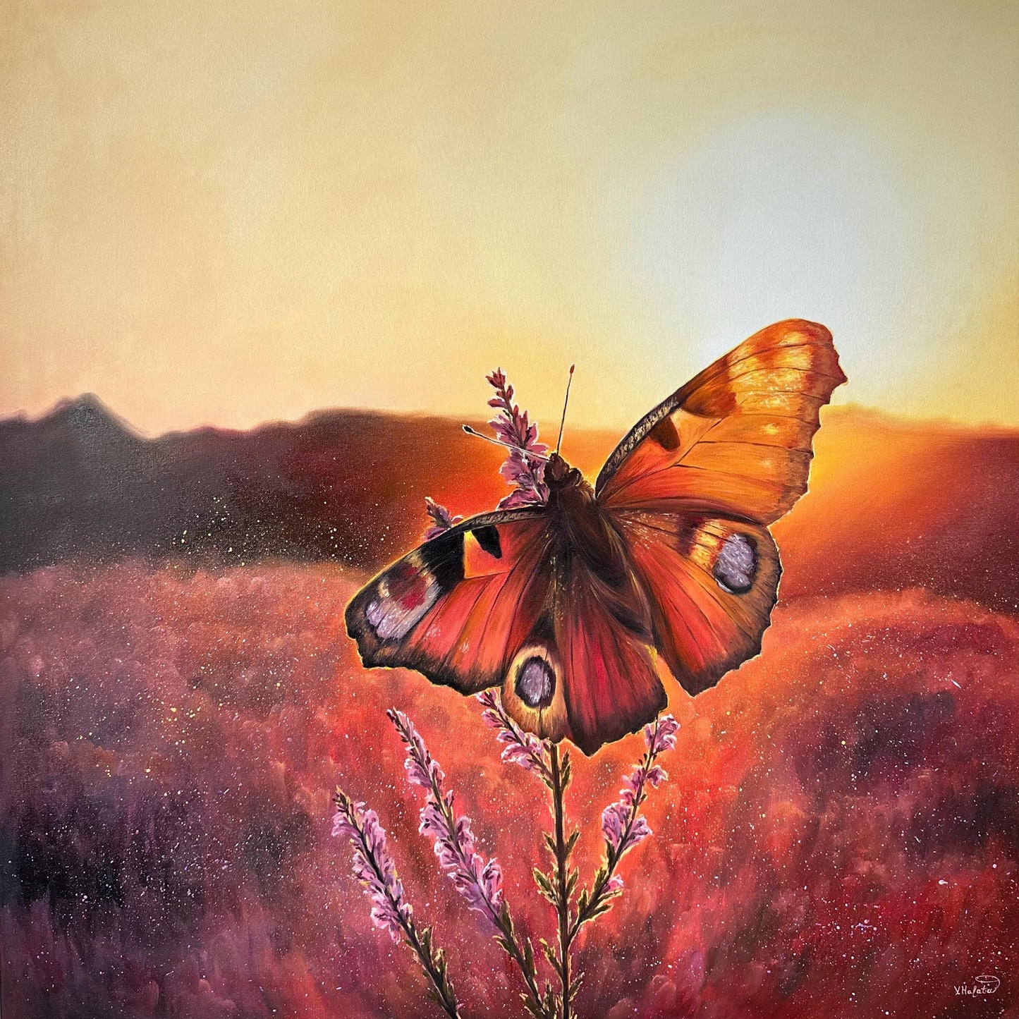 "Butterfly in Lüneburger Heide"