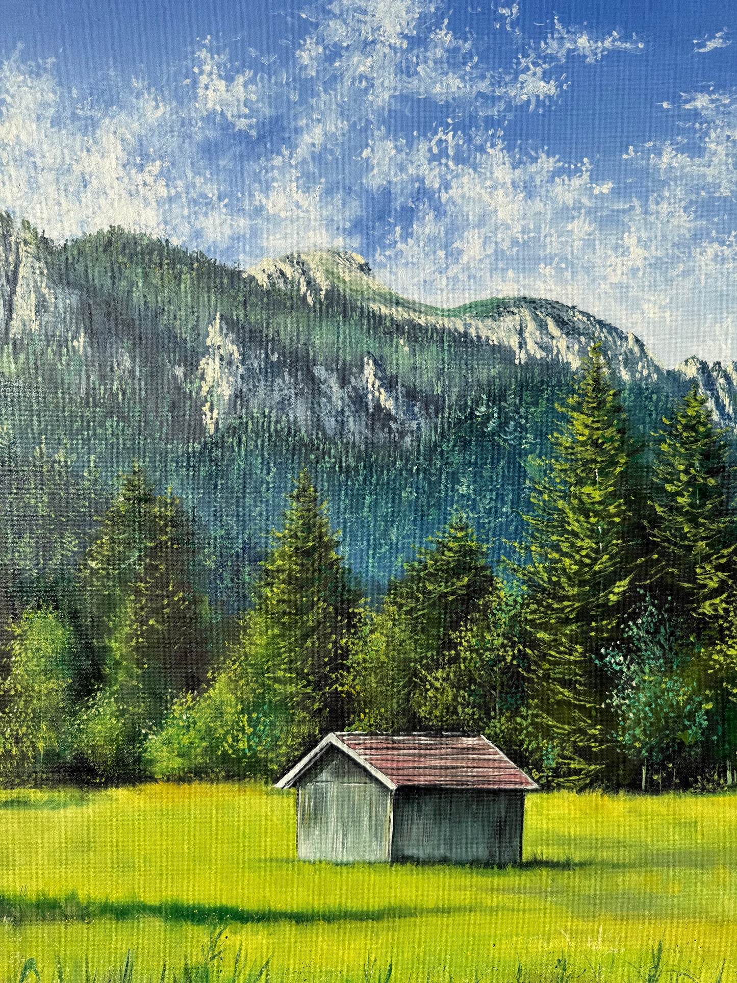“Cabin in the Mountains”