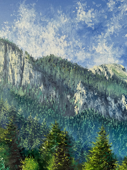 “Cabin in the Mountains”