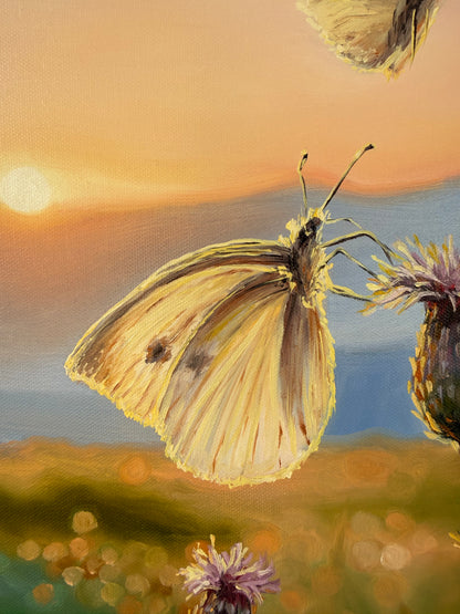 „Butterflies at Down“