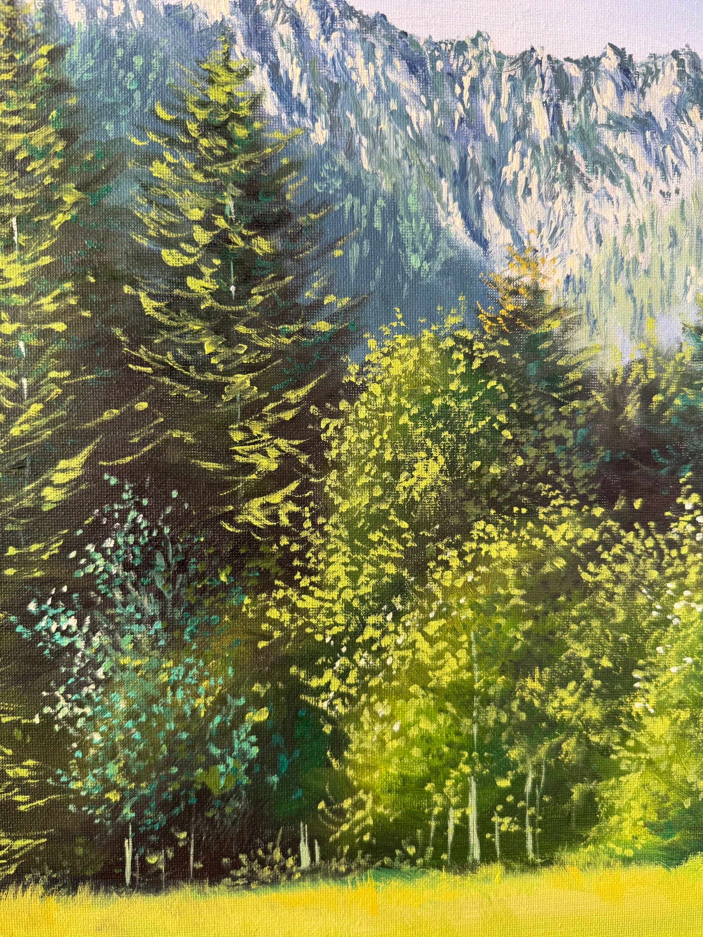 “Cabin in the Mountains”