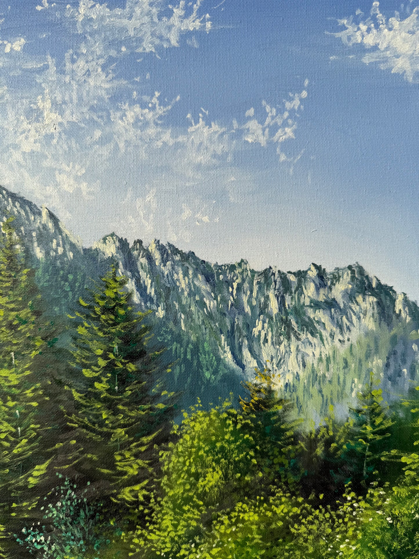 “Cabin in the Mountains”