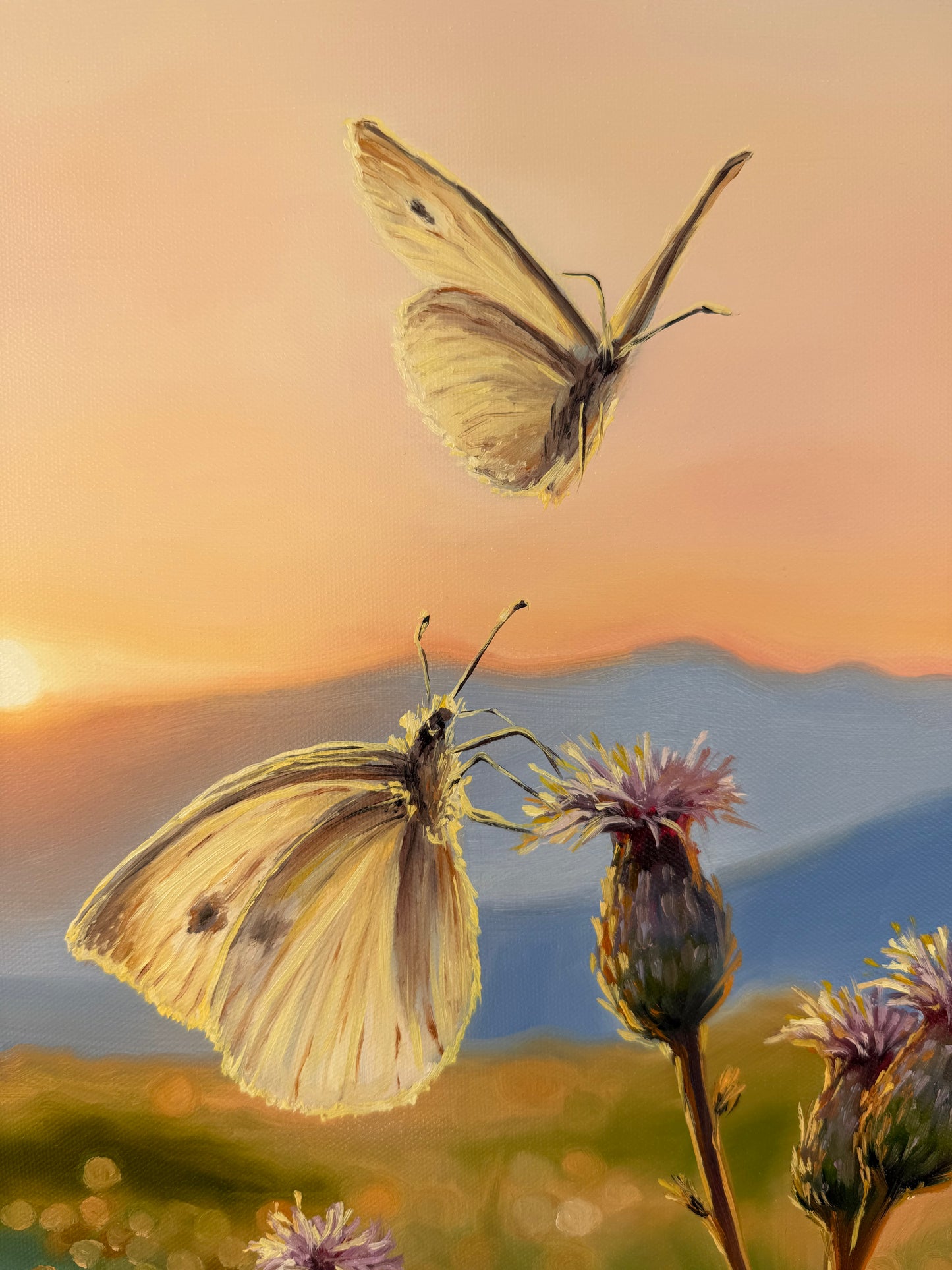 „Butterflies at Down“