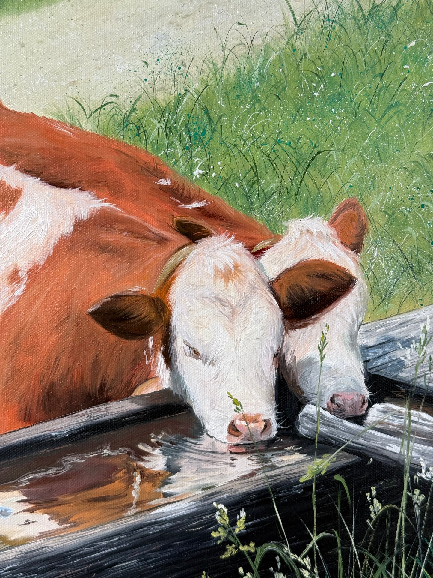 "Alpine Calves" oil painting
