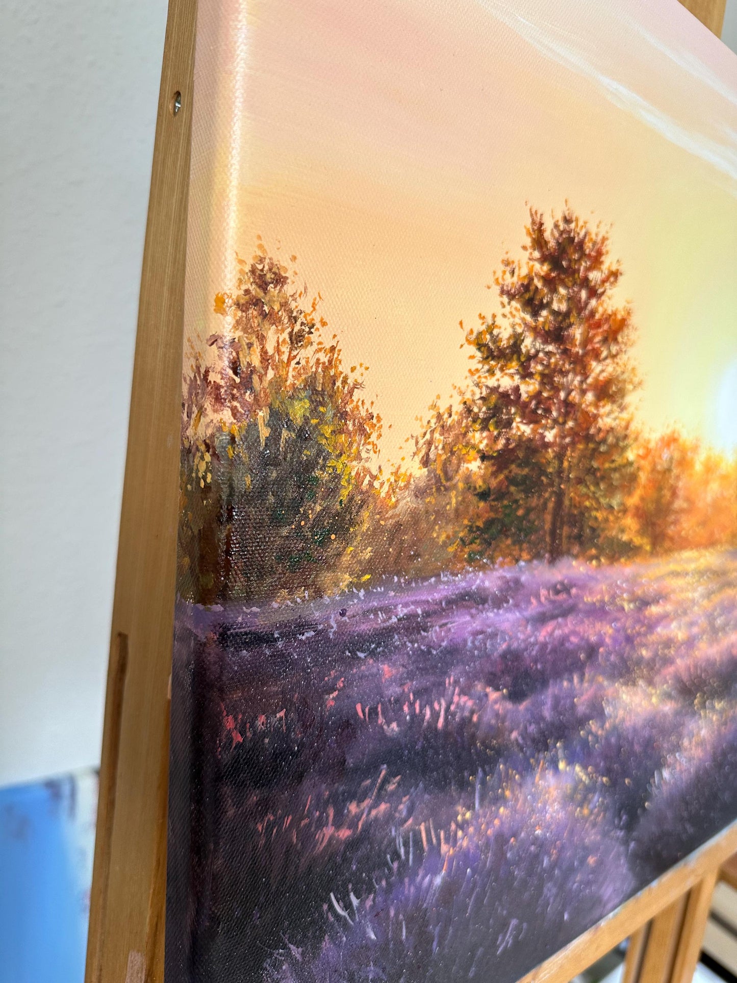 "Lüneburger Heide Wiese"