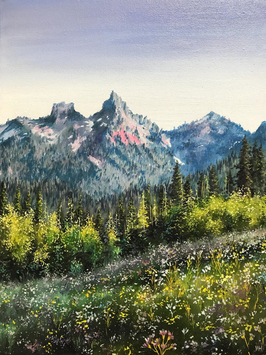 "Mount Rainier National Park"