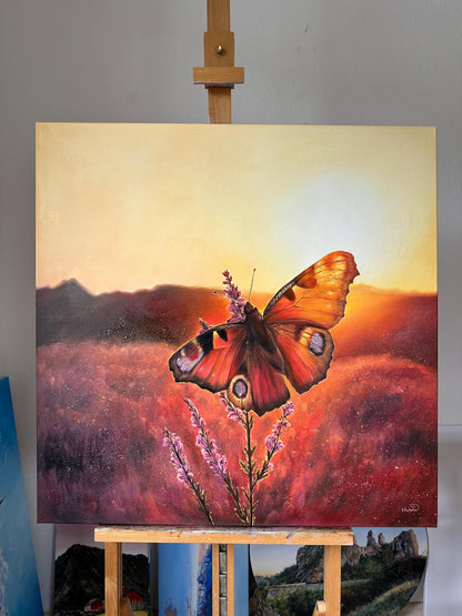 "Butterfly in Lüneburger Heide"