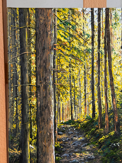 “Sunlit Forest” oil painting