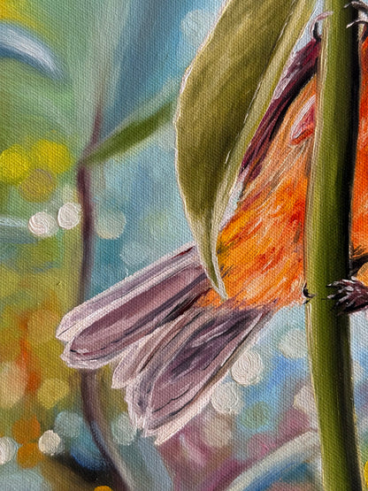 “Red Fody” oil painting