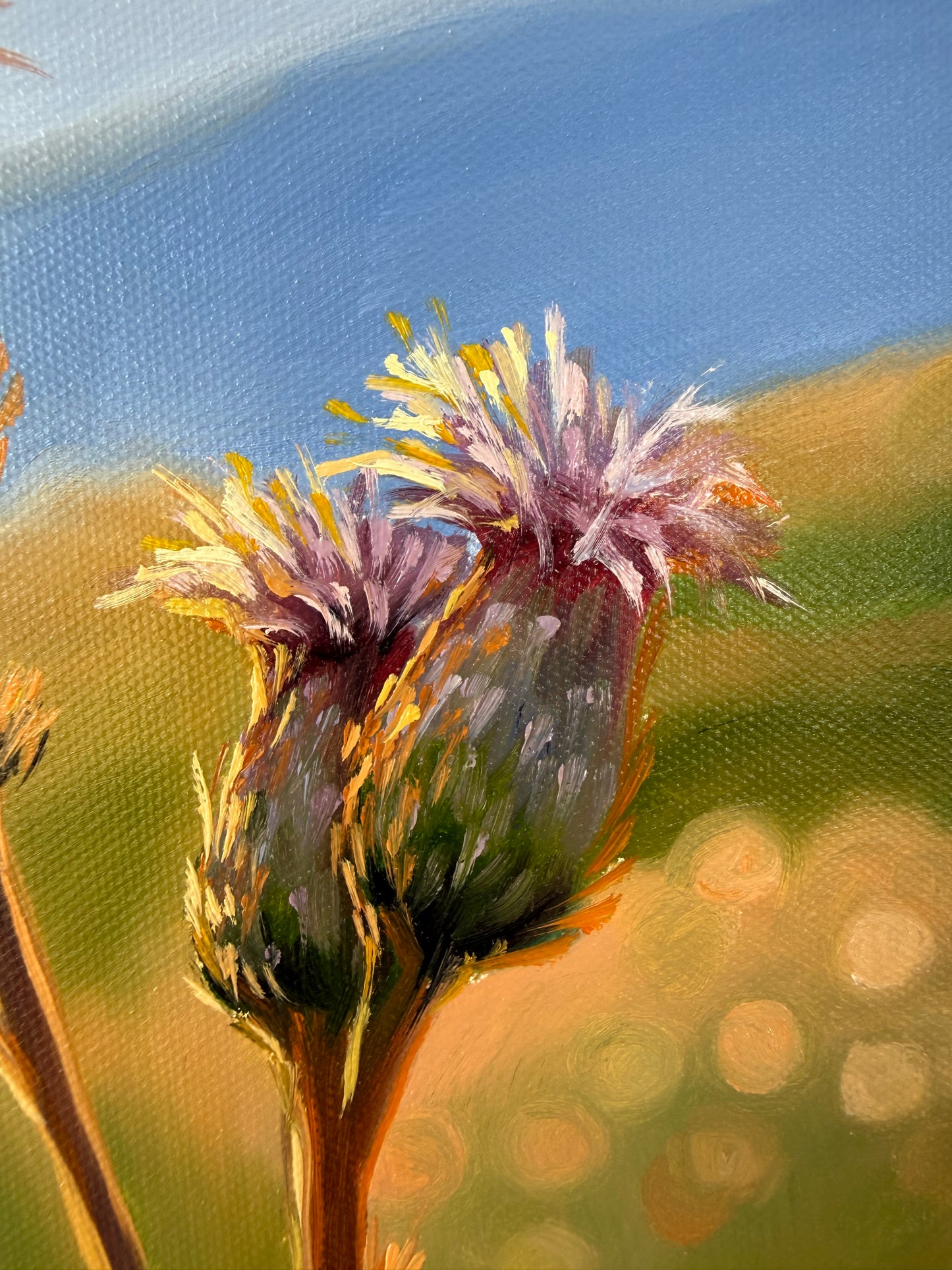 „Butterflies at Down“