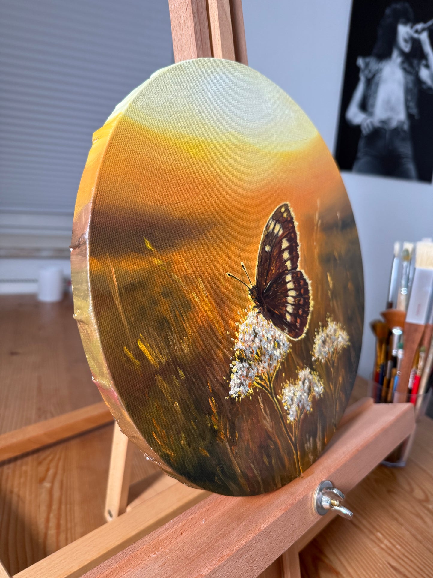 “Sunlit Bloom and Butterfly”