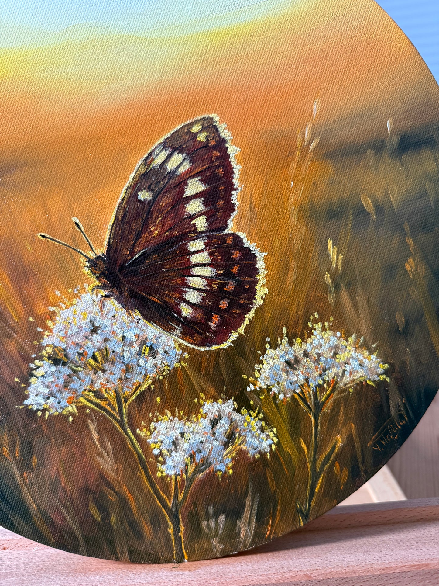 “Sunlit Bloom and Butterfly”