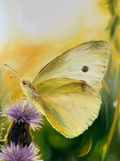 „Sunrise in Bloom“