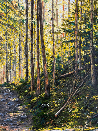 “Sunlit Forest” oil painting