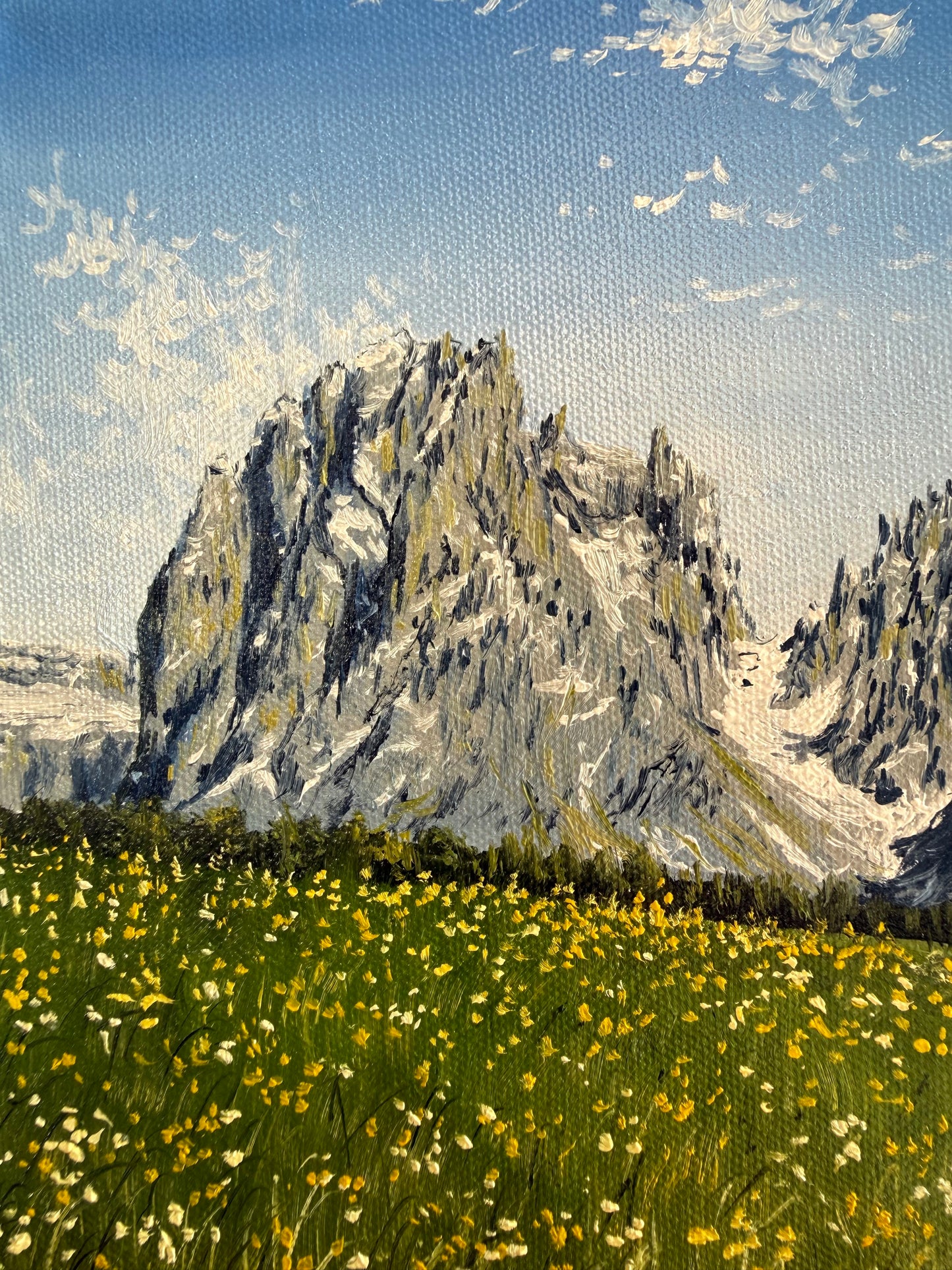 "Flowered Meadow of Seiser Alm" oil painting