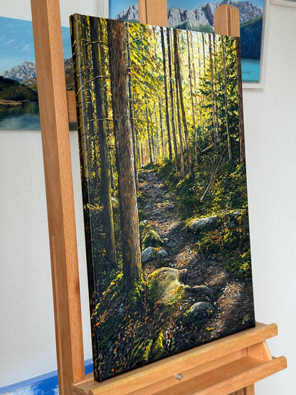 “Sunlit Forest” oil painting