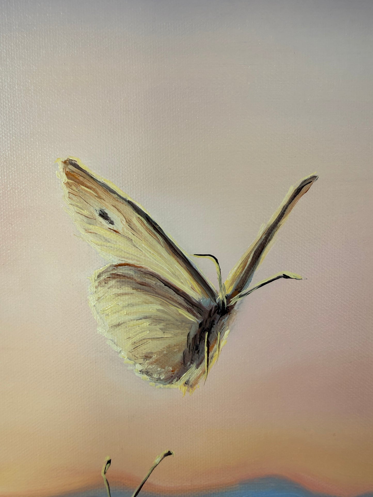 „Butterflies at Down“