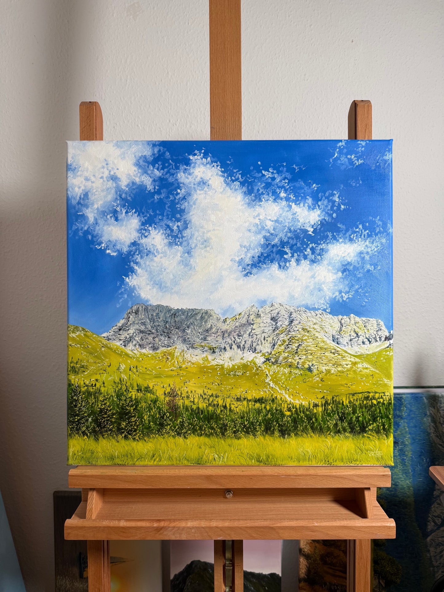 “Malga Montasio, Italy”